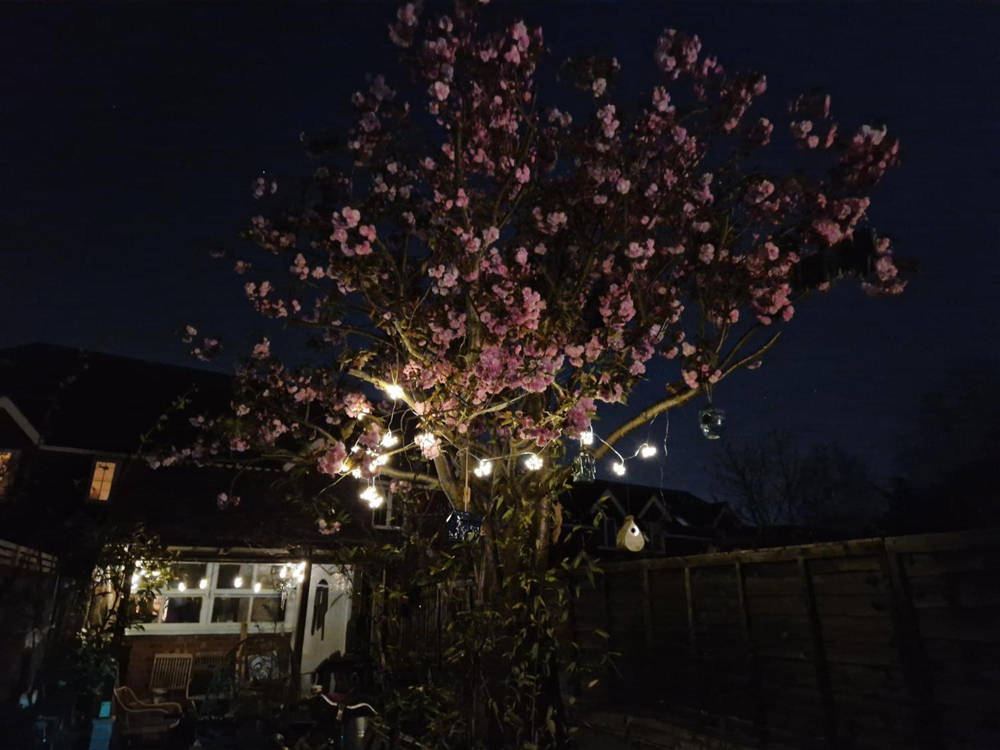 Lotus Pod House Homestay Horsell Buitenkant foto