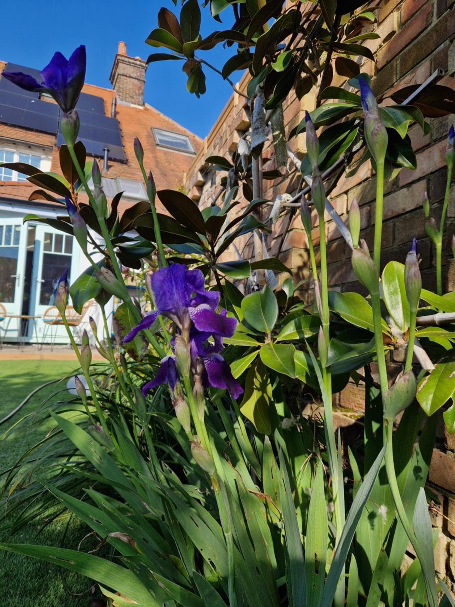 Lotus Pod House Homestay Horsell Buitenkant foto